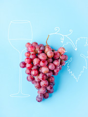 a grape of pink grapes isolated on a blue background and a drawn image of a glass for wine and vines with leaves. concept of winemaking and wine industry