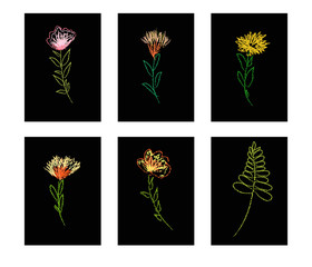 Embroidered effect flower drawings. Posters or cards. Vector. Black background.Birthday, anniversary, Valentin’s day, party invitations, wedding, covers. - 177443366