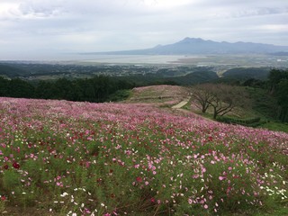 Fototapeta premium 幻想的な秋の風景