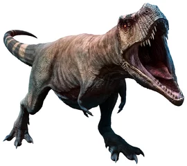 Zelfklevend Fotobehang Tyrannosaurus about to bite © warpaintcobra
