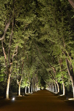 SERRALVES