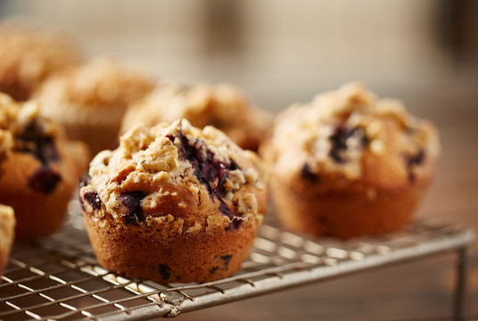 Blueberry muffin