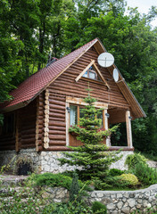 Cottage from logs in the forest