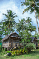 Cottages are made of palm leaves in the Tropics