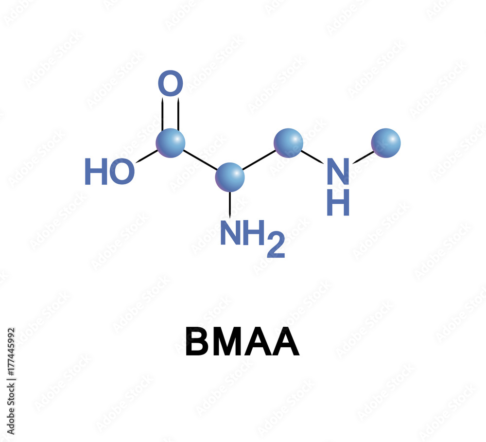 Sticker beta-Methylamino-L-alanine, or BMAA