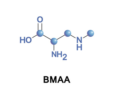 beta-Methylamino-L-alanine, or BMAA