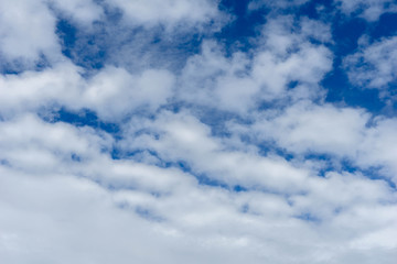 Fototapeta premium Blue Sky and White Cloud for Business Enthusiasm