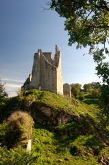 Fototapeta na wymiar Castle ruins on the top of a hill