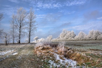 Felder und Wald im Winter