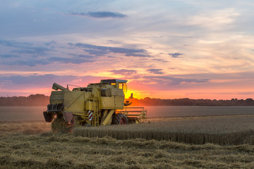 Mähdrescher bei Sonnenuntergang bearbeitet ein Getreidefeld, düstere Stimmung