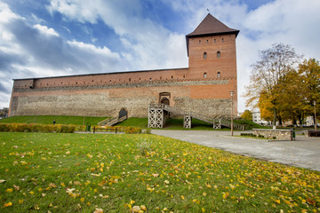 Lida castle
