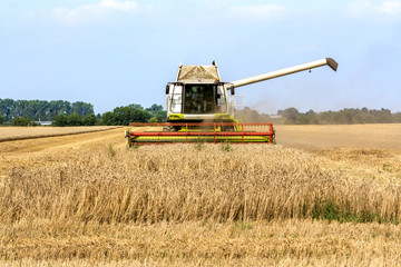 Mähdrescher fährt Ernte ein auf einem Getreidefeld, closeup