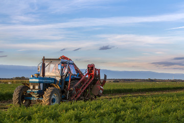 Blauer Traktor im Feld kurz vor seinem Einsatz, Freiraum rechts