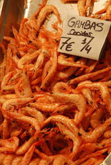 cooked (spanish: cocidas) fresh prawns (spanish: gambas), spanish market