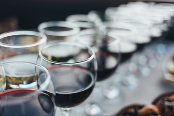 Many glasses of different wine in a row on bar counter