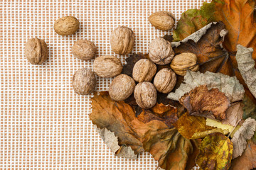 Still life of fresh vegetables.