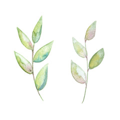 Two watercolor floral branches leaves hand painted design set clipart 