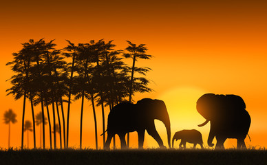 . family of elephants