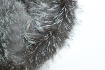 Natural fur on the white background