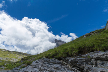 Gemmipass high on summer