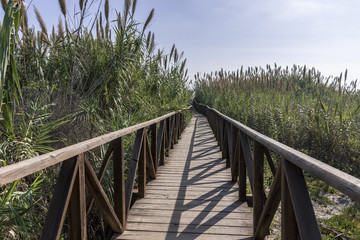 Detail of footbridge access to the beach