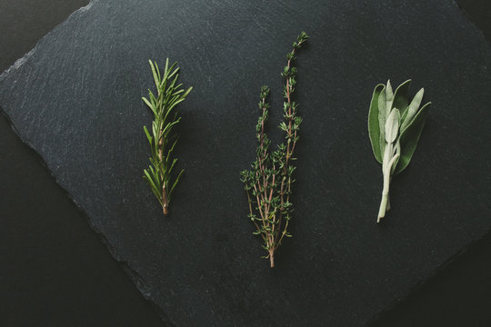 Rosemary, thyme, and sage lined up on a slate background