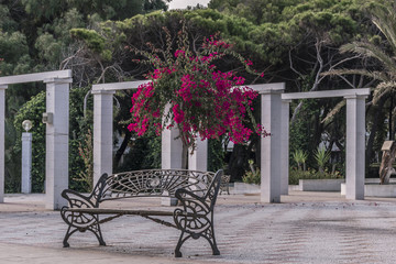 Park in Guardamar del Segura © MariaTeresa