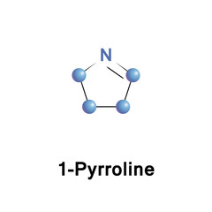 Pyrrolines are dihydropyrroles
