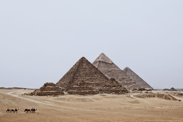 Fototapeta na wymiar Karawane vor den Pyramiden von Gizah im old photo look