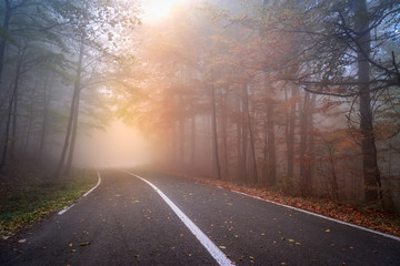 Asphalt road in a foggy autumn day