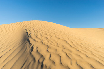 Desert Dune