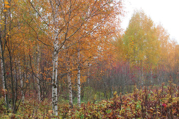 Autumn in the provincial town