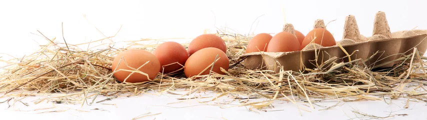 Zelfklevend Fotobehang Egg. Fresh farm eggs on a white background. © beats_