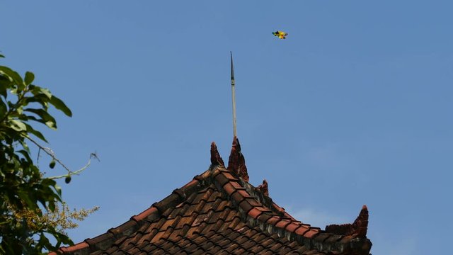 Yellow kite above the roof of temple at blue sky