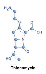 Thienamycin Thienpenem antibiotics