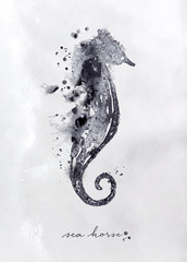 Monotype seahorse black © anna42f