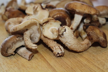 MushroomCuttingBoard