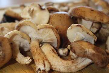 MushroomCuttingBoard