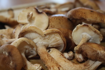 MushroomCuttingBoard