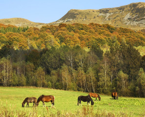 Bieszczady National Park near Wolosate village. Poland © Andrey Shevchenko