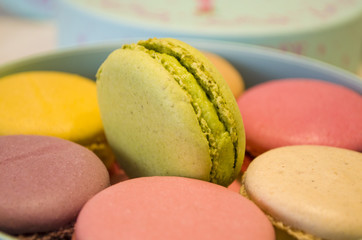 french colorful macaroons in a gift box