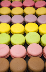 french colorful macaroons in a gift box