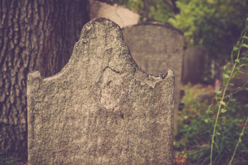 Old Tombstones in Cemetery