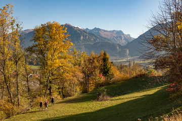 Landschaft bei Falera in Graubünden