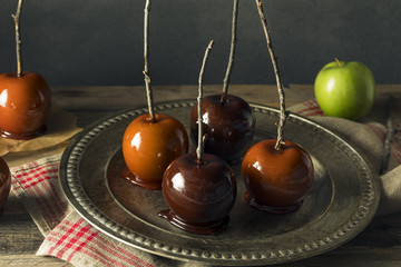 Gourmet Sweet Fancy Candy Apples