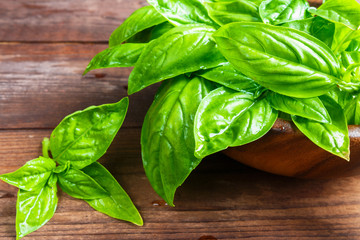 Basil fresh aromatic herb spice for italian vegetarian salads on a wooden dark background in rustic style with copy space