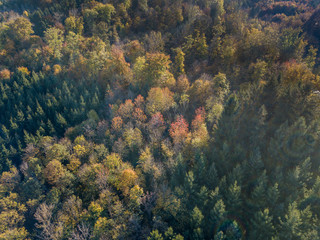 Aerial view of forest in fall, colorful trees