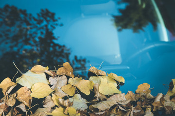Blätter auf Auto Windschutzscheibe, Herbst 