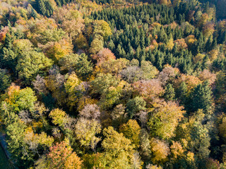 Aerial view of forest in fall, colorful trees