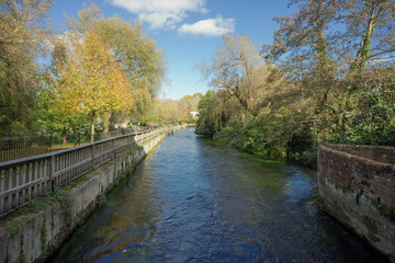 Fototapeta na wymiar The River Itchen weirs gardens in Winchester on a sunny Autumn day